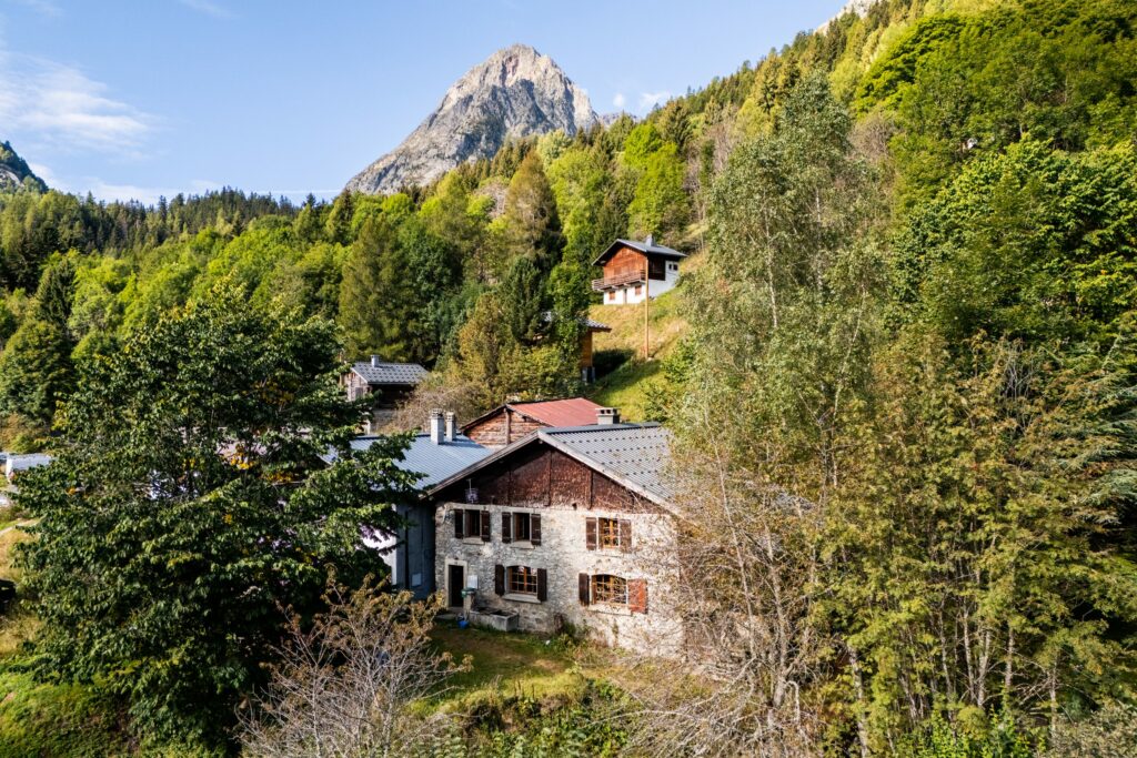 Propriété accompagnée par Studio F. Advisory à Vallorcine, vue du bien